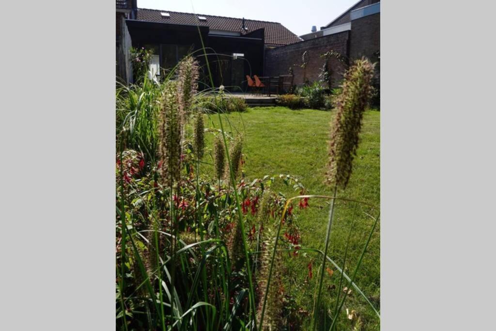 Villa Vakantiehuis Vlakbij Het Strand En Natuur Biervliet Exterior foto
